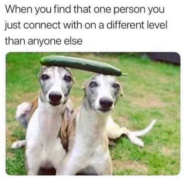 Wholesome Memes (40 pics)