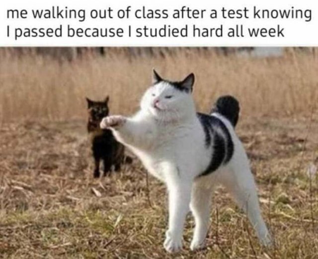 Wholesome Memes (40 pics)