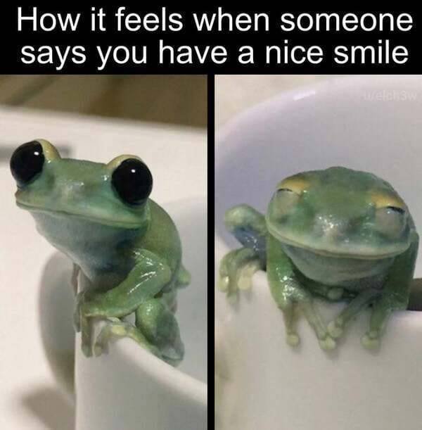 Wholesome Memes (40 pics)