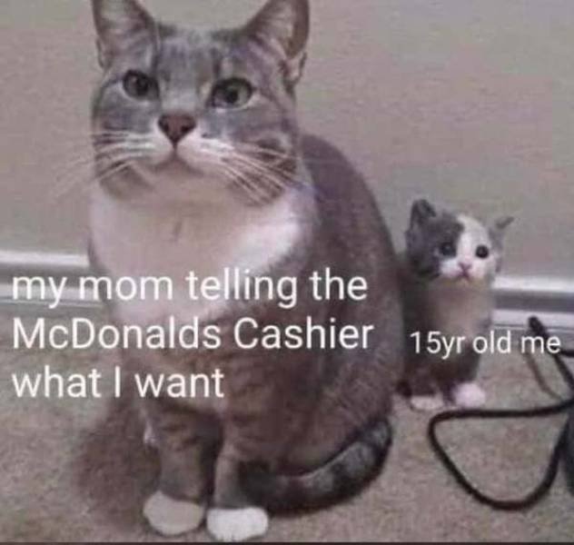 Wholesome Memes (40 pics)