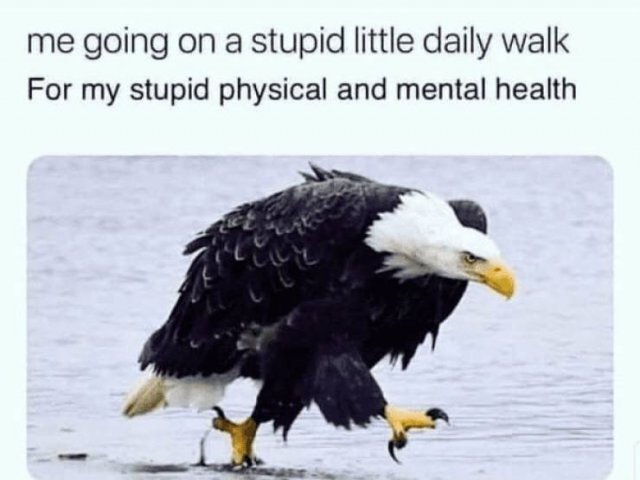 Wholesome Memes (40 pics)