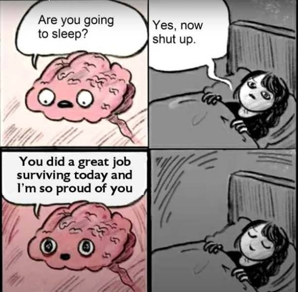 Wholesome Memes (40 pics)