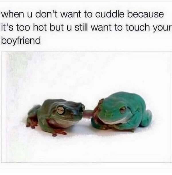 Wholesome Memes (40 pics)