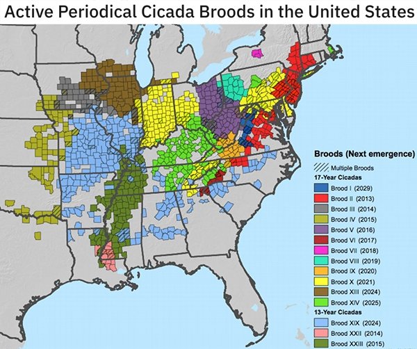 Interesting Data (26 pics)