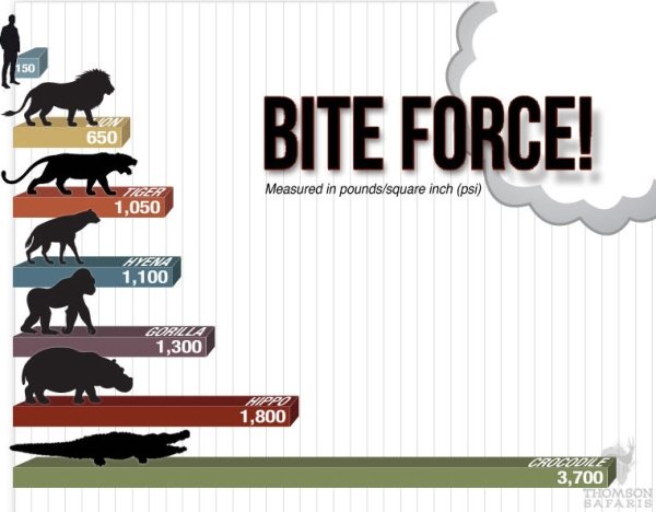 Interesting Data (26 pics)