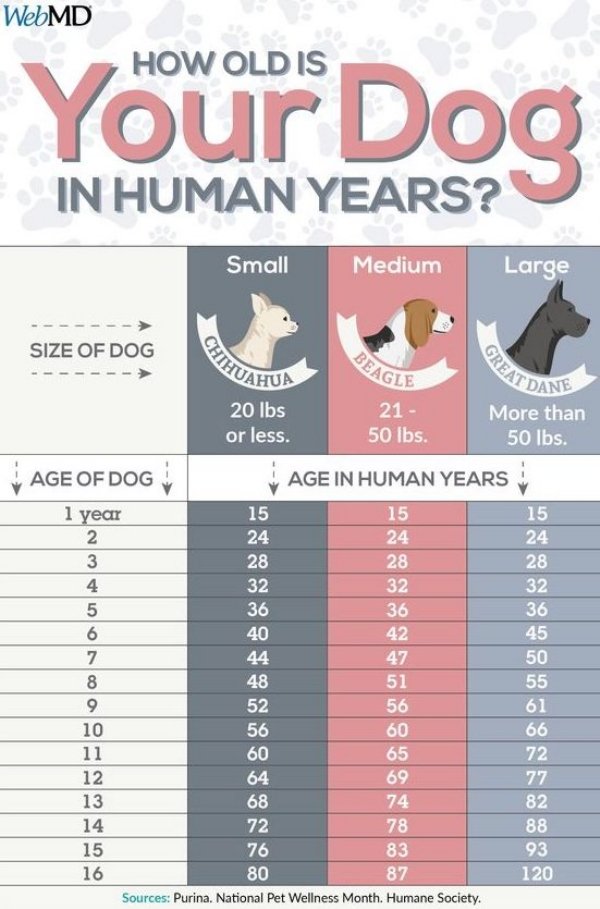 Interesting Data (26 pics)