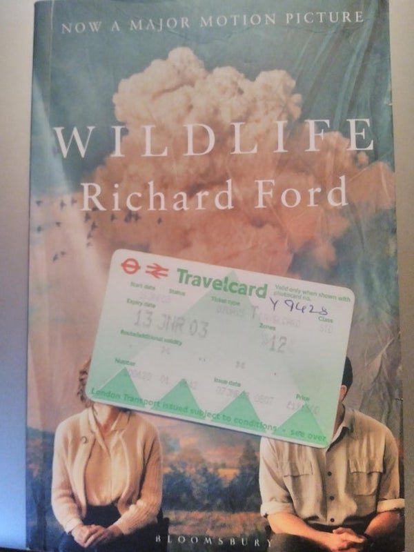 Lucky Finds (26 pics)