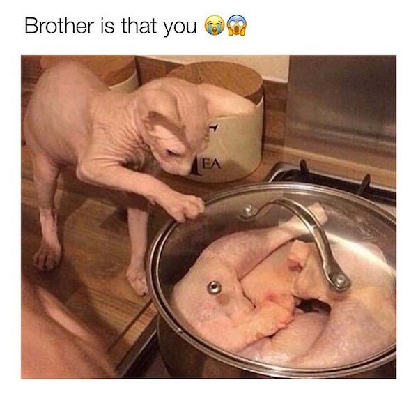 Things That Look A Bit Weird (24 pics)