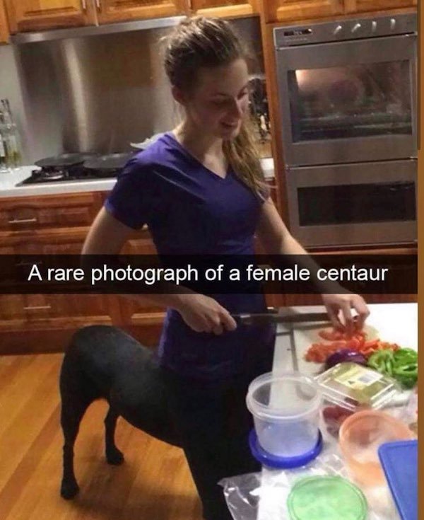 Things That Look A Bit Weird (24 pics)