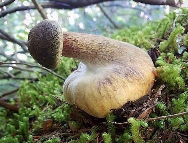 Things That Look A Bit Weird (24 pics)