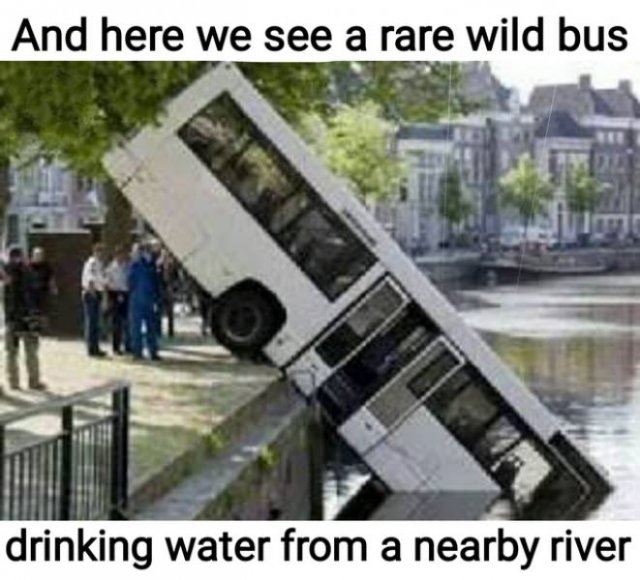 Acid Picdump 2 (80 pics)