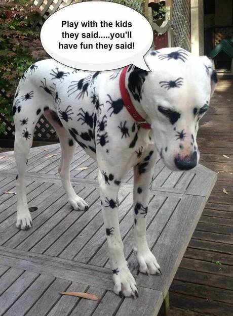 Acid Picdump 2 (80 pics)
