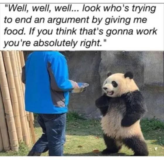 Acid Picdump 2 (80 pics)