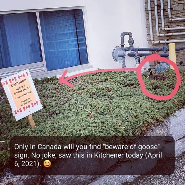 Only In Canada (29 pics)