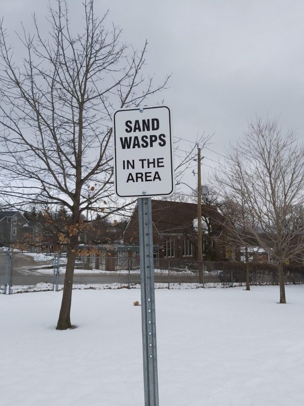 Only In Canada (29 pics)