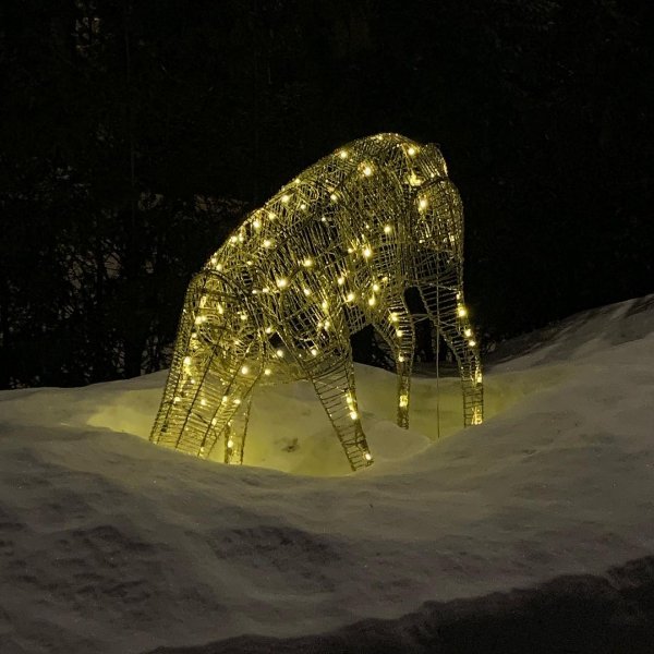 Only In Canada (29 pics)