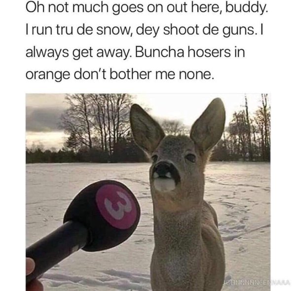 Only In Canada (29 pics)