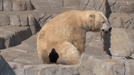 Acid Gifdump, April 15 (25 gifs)