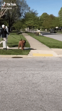 Acid Gifdump, April 15 (25 gifs)