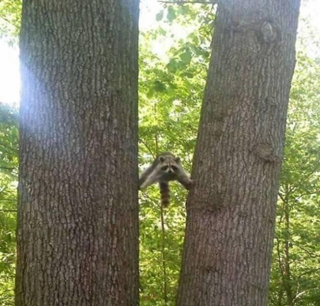 Acid Picdump 1 (79 pics)