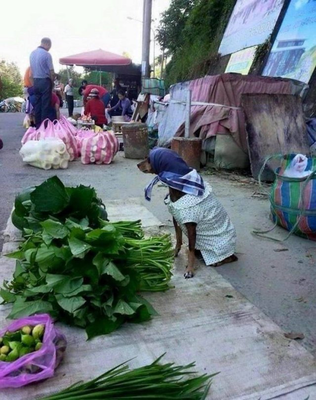 Acid Picdump 1 (79 pics)