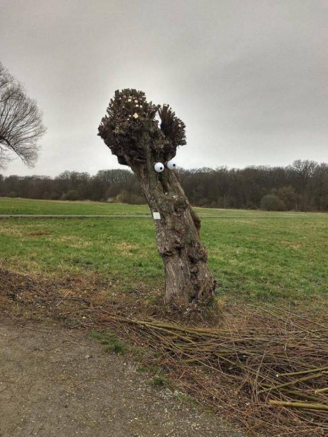 Acid Picdump 1 (79 pics)