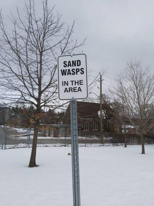 Acid Picdump 1 (79 pics)