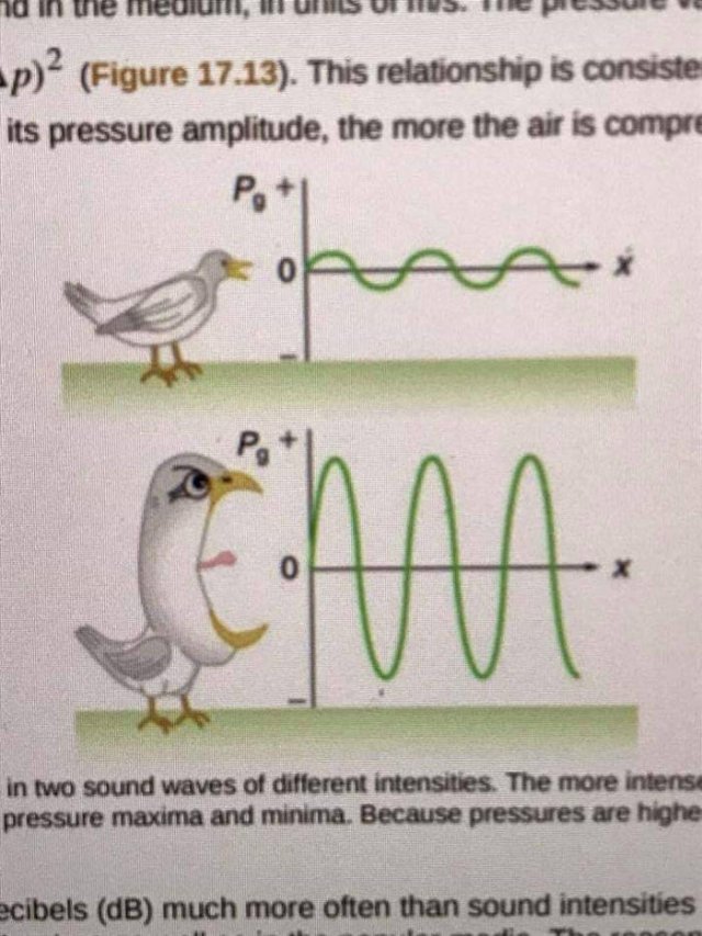 Strange And Funny Science Book Pages (44 pics)