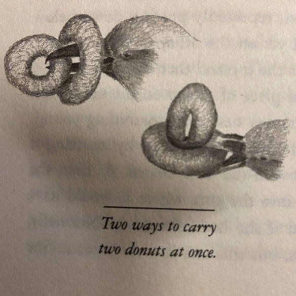 Strange And Funny Science Book Pages (44 pics)