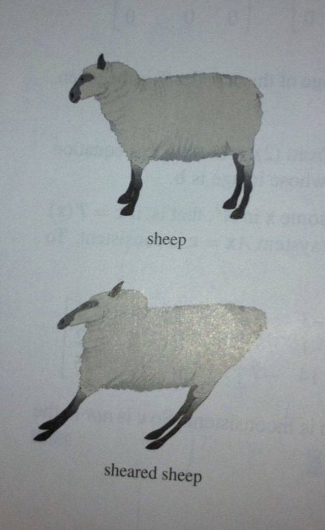 Strange And Funny Science Book Pages (44 pics)