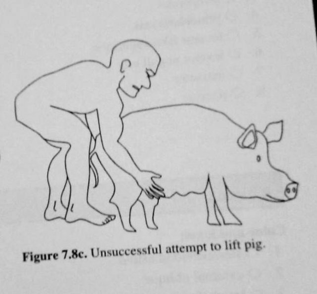 Strange And Funny Science Book Pages (44 pics)