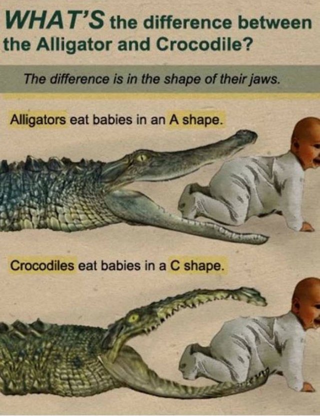 Strange And Funny Science Book Pages (44 pics)