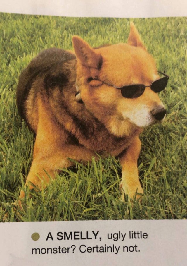 Strange And Funny Science Book Pages (44 pics)