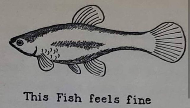 Strange And Funny Science Book Pages (44 pics)