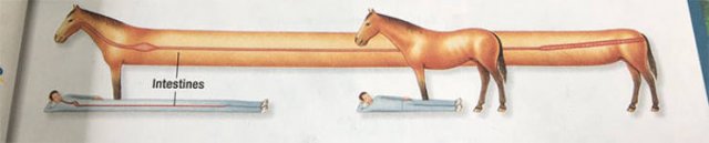 Strange And Funny Science Book Pages (44 pics)