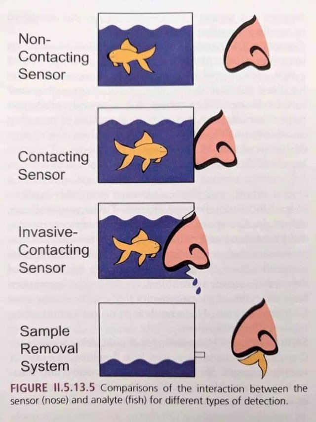Strange And Funny Science Book Pages (44 pics)