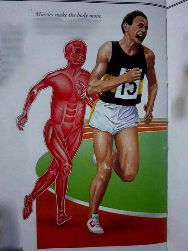 Strange And Funny Science Book Pages (44 pics)