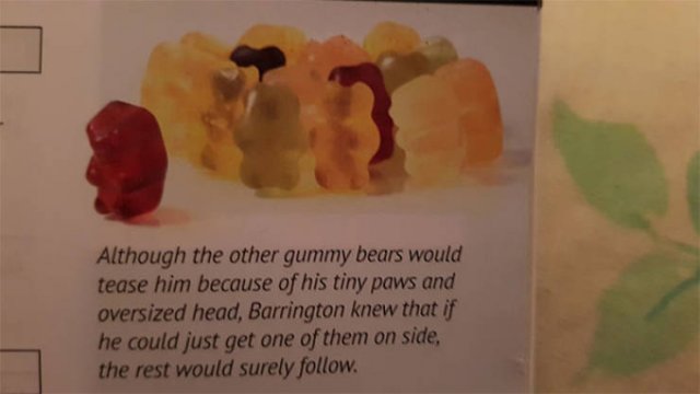 Strange And Funny Science Book Pages (44 pics)