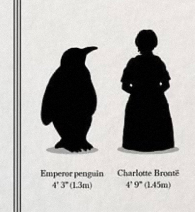 Strange And Funny Science Book Pages (44 pics)