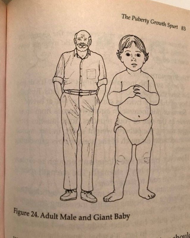 Strange And Funny Science Book Pages (44 pics)