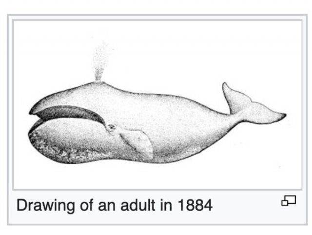 Strange And Funny Science Book Pages (44 pics)