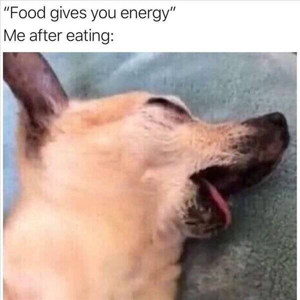 So True (38 pics)