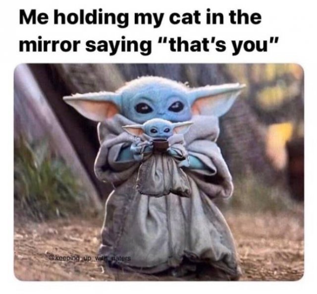 Random Funny Memes (32 pics)