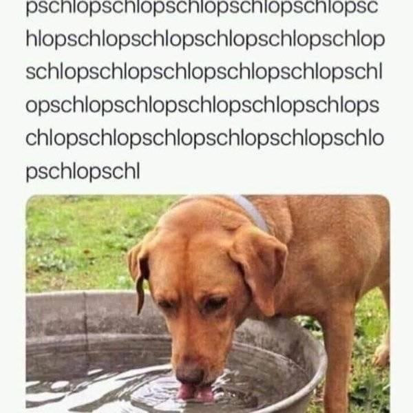 Random Funny Memes (32 pics)