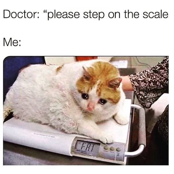 So True (38 pics)