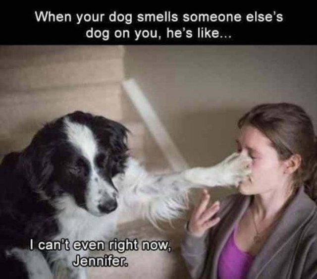 So True (38 pics)