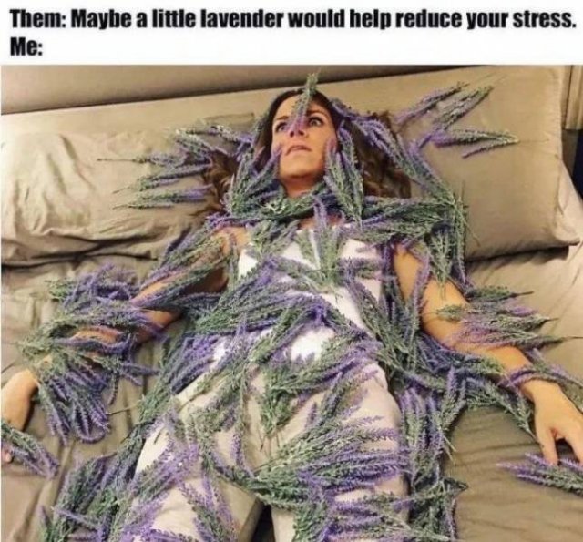 Random Funny Memes (32 pics)