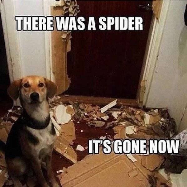 So True (38 pics)