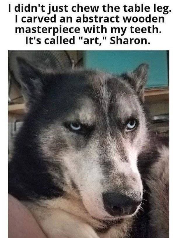 So True (38 pics)