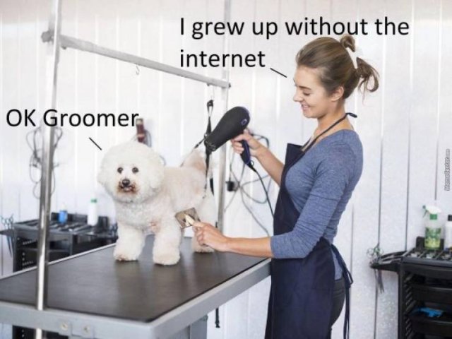 Random Funny Memes (32 pics)